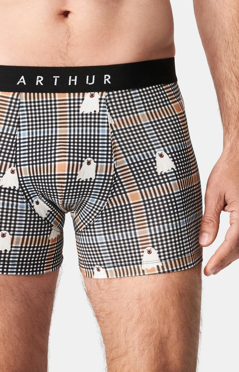 Boxer en jersey de coton - Dans de beaux draps