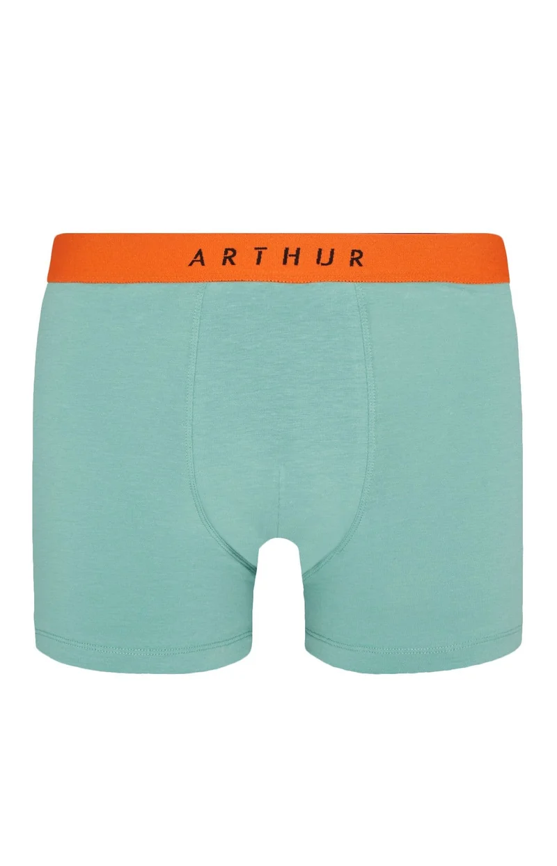 Boxer en jersey de coton - Vert