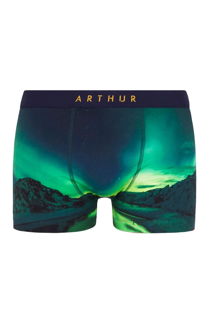Boxer - Boréal