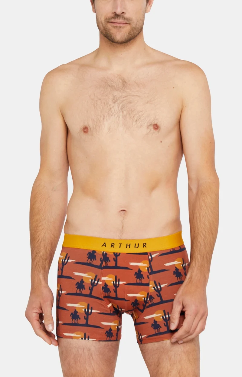 Boxer A l'ouest - Cognac