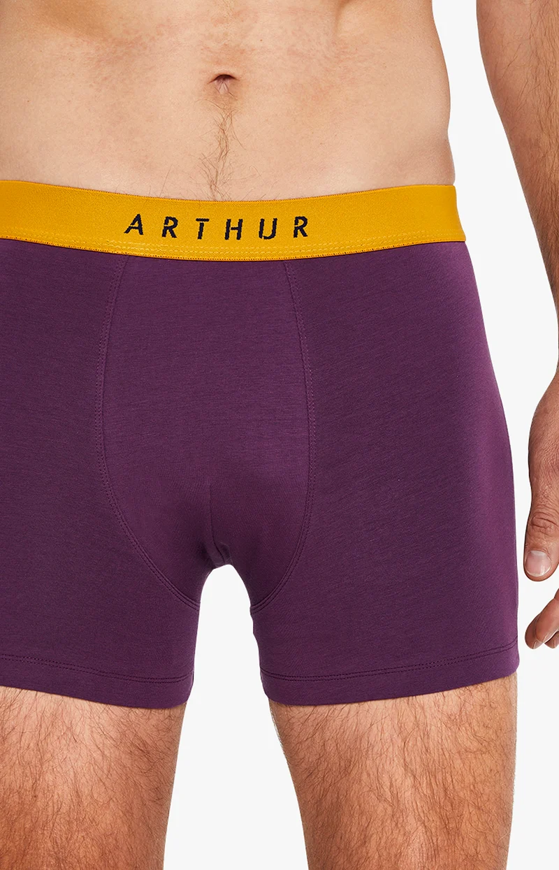 Boxer - Coton Aubergine