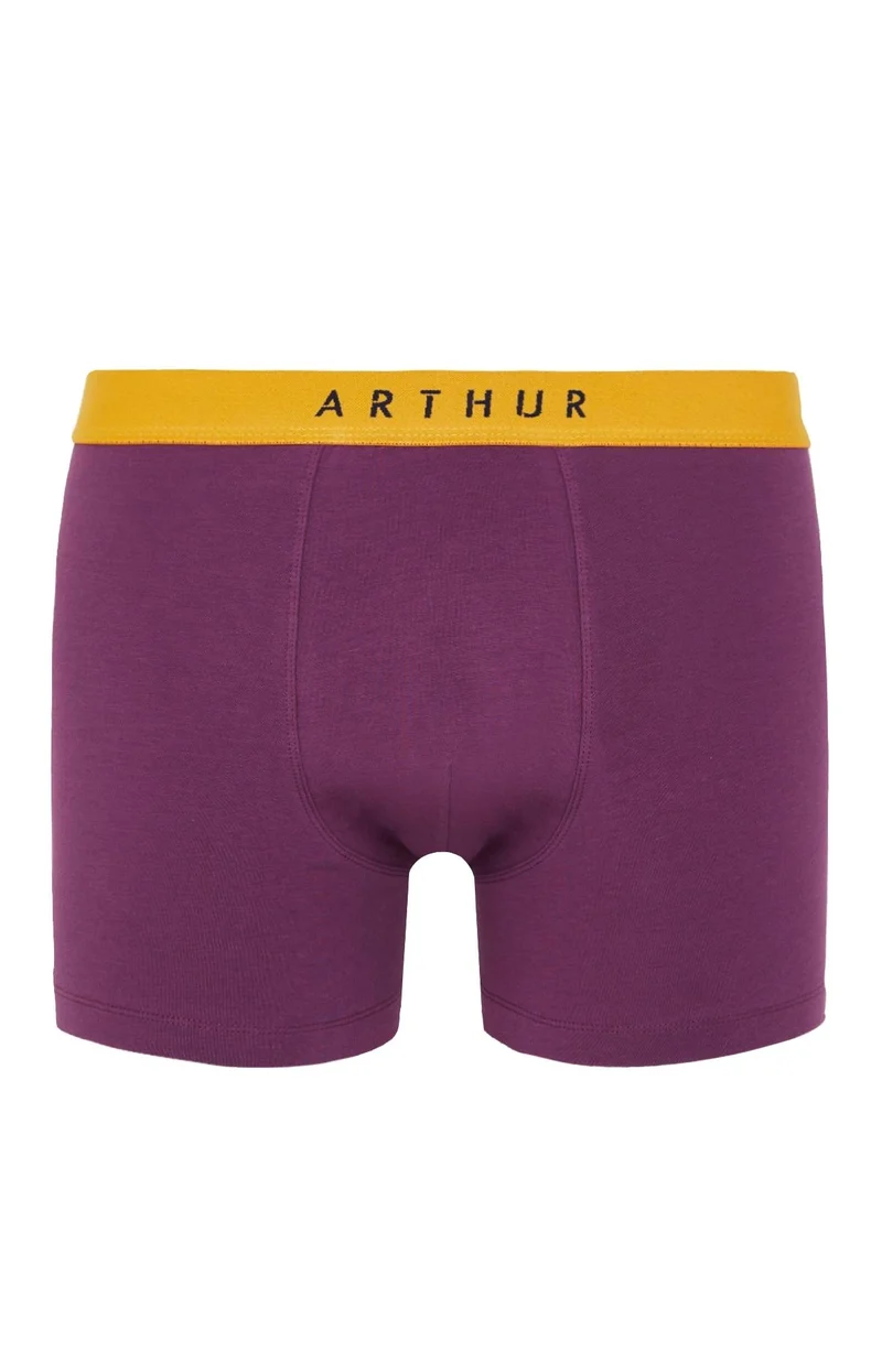 Boxer - Coton Aubergine