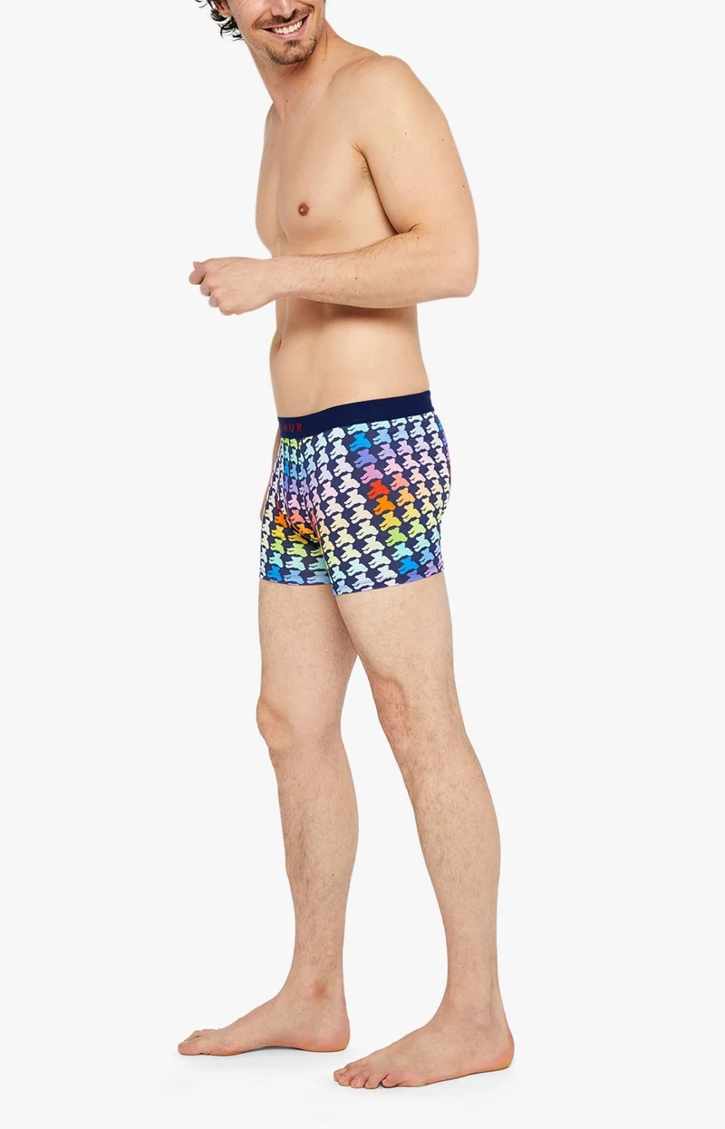 Boxer - Teddy Multicolore