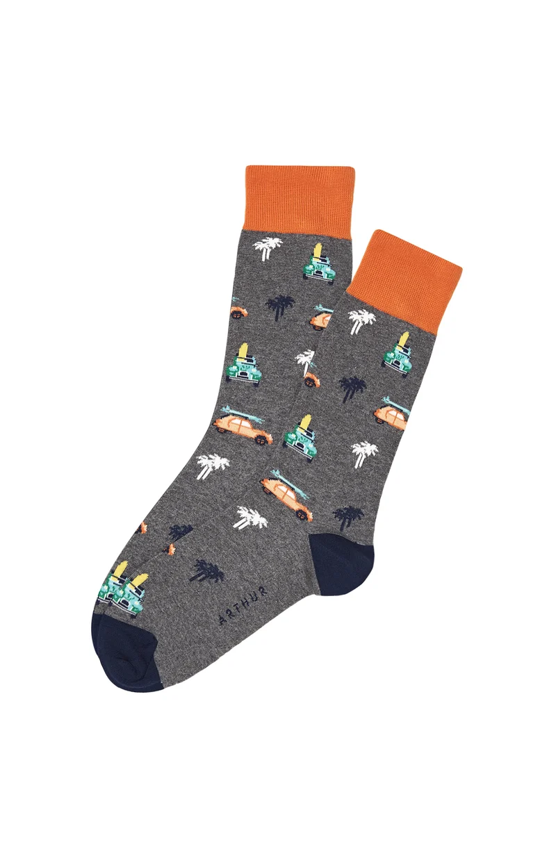 Chaussettes 2CV - Gris