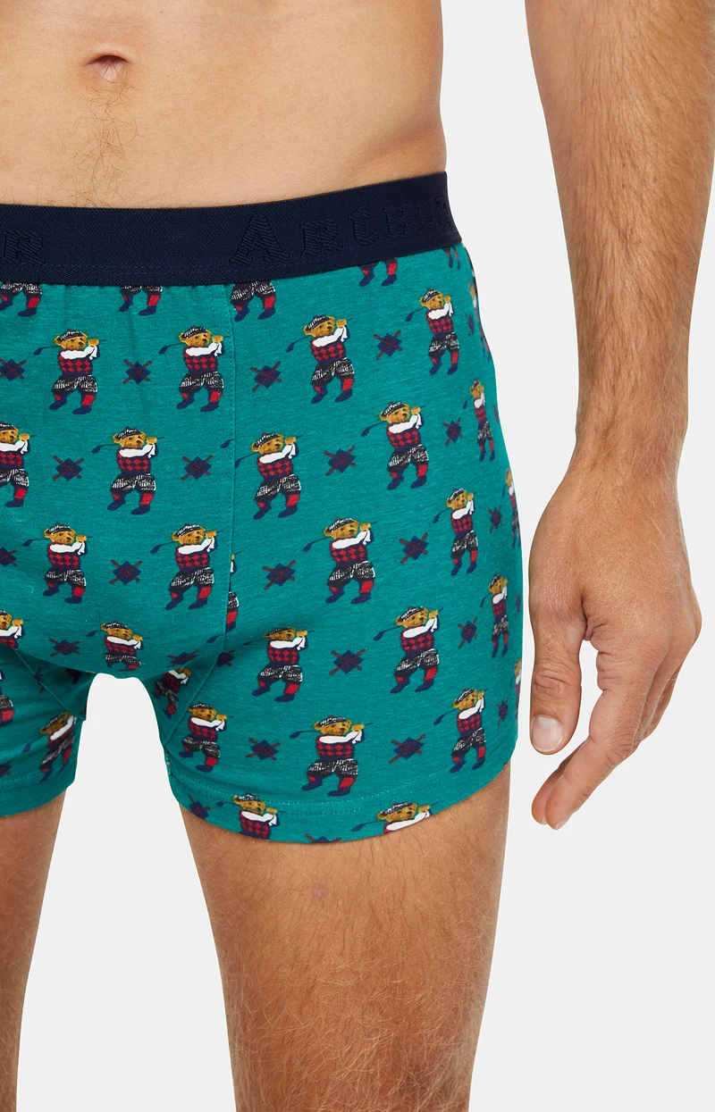 Boxer - Ted Wood