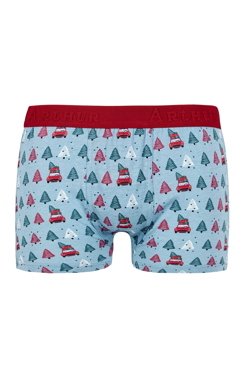 Boxer - Sapin