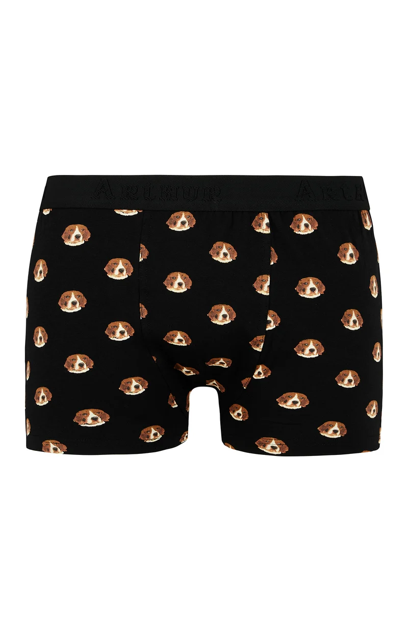 Boxer Beagle - Noir