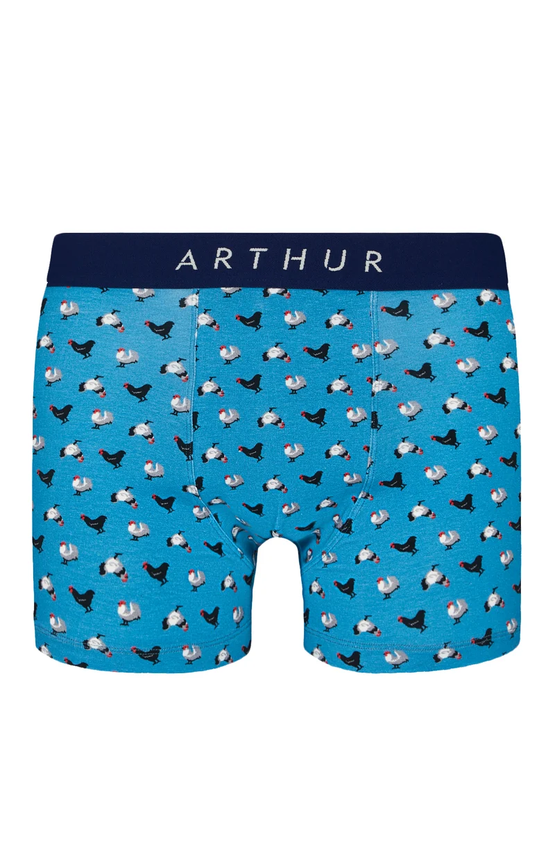 Boxer - Poule