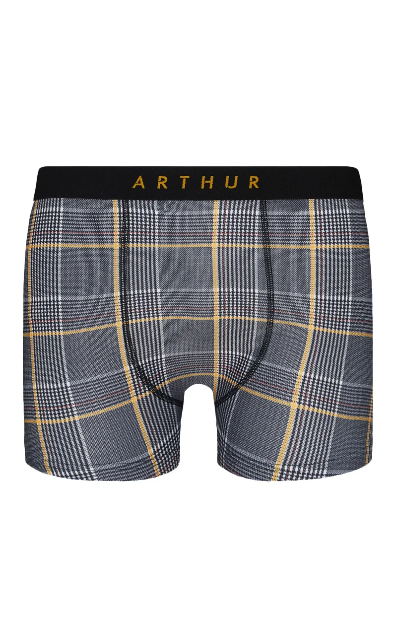 Boxer - Charles