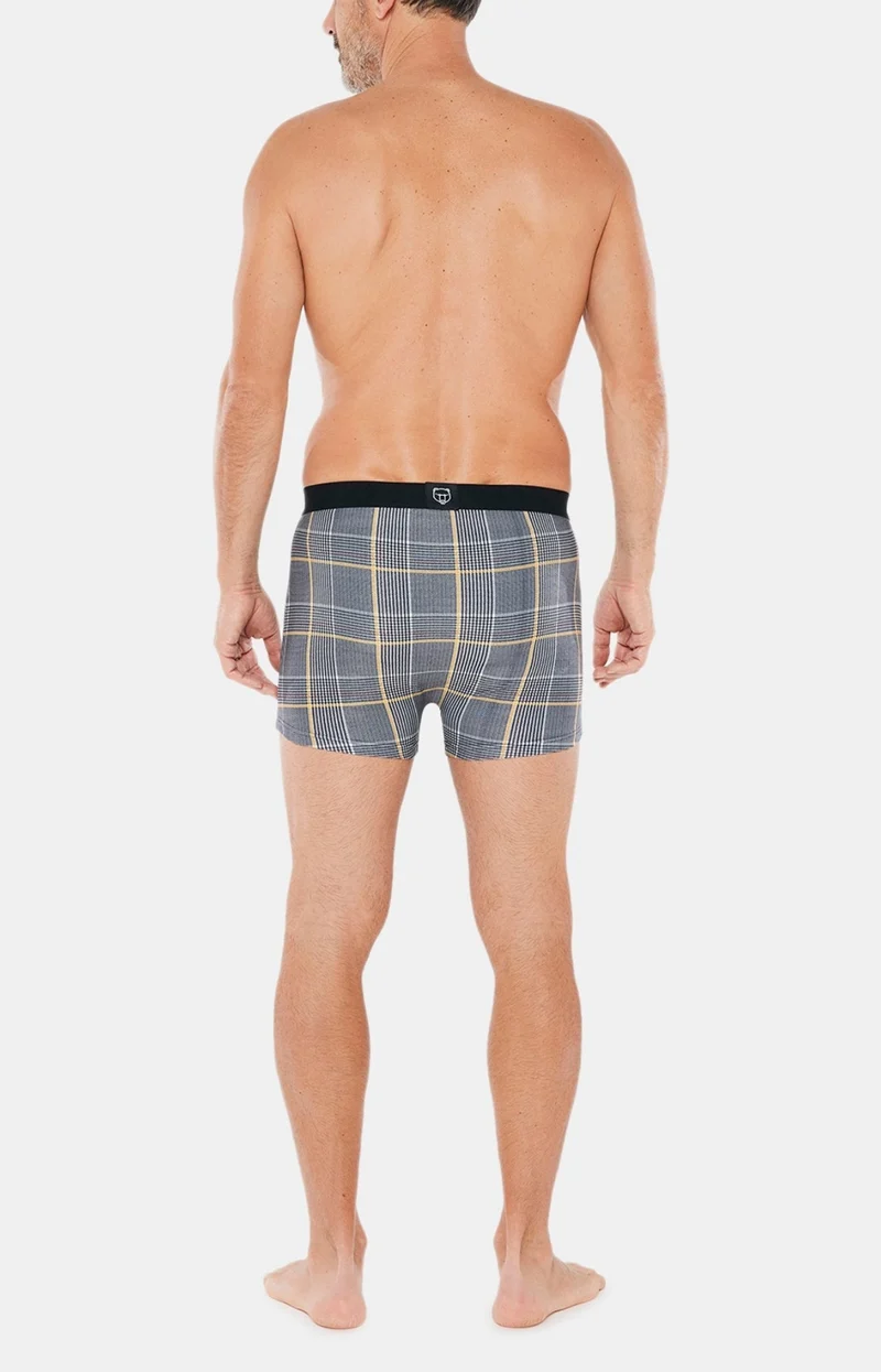 Boxer - Charles