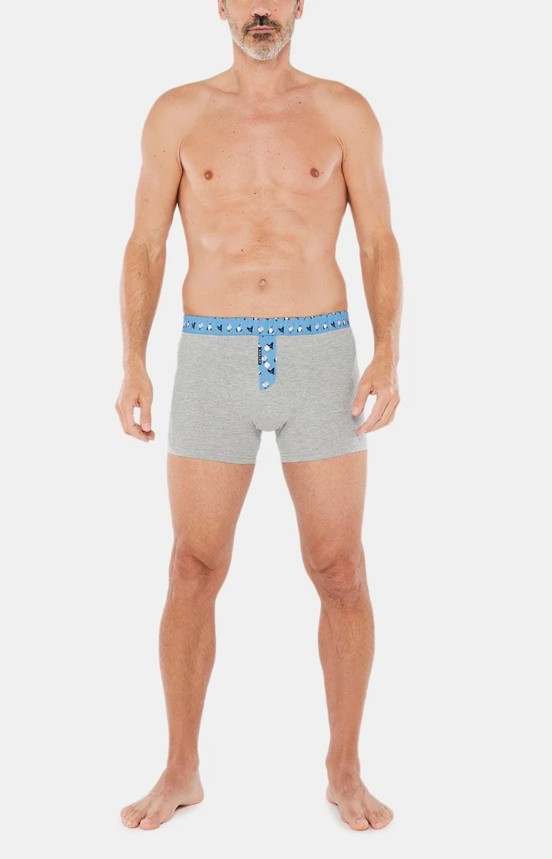Boxer Club Coton - Gris
