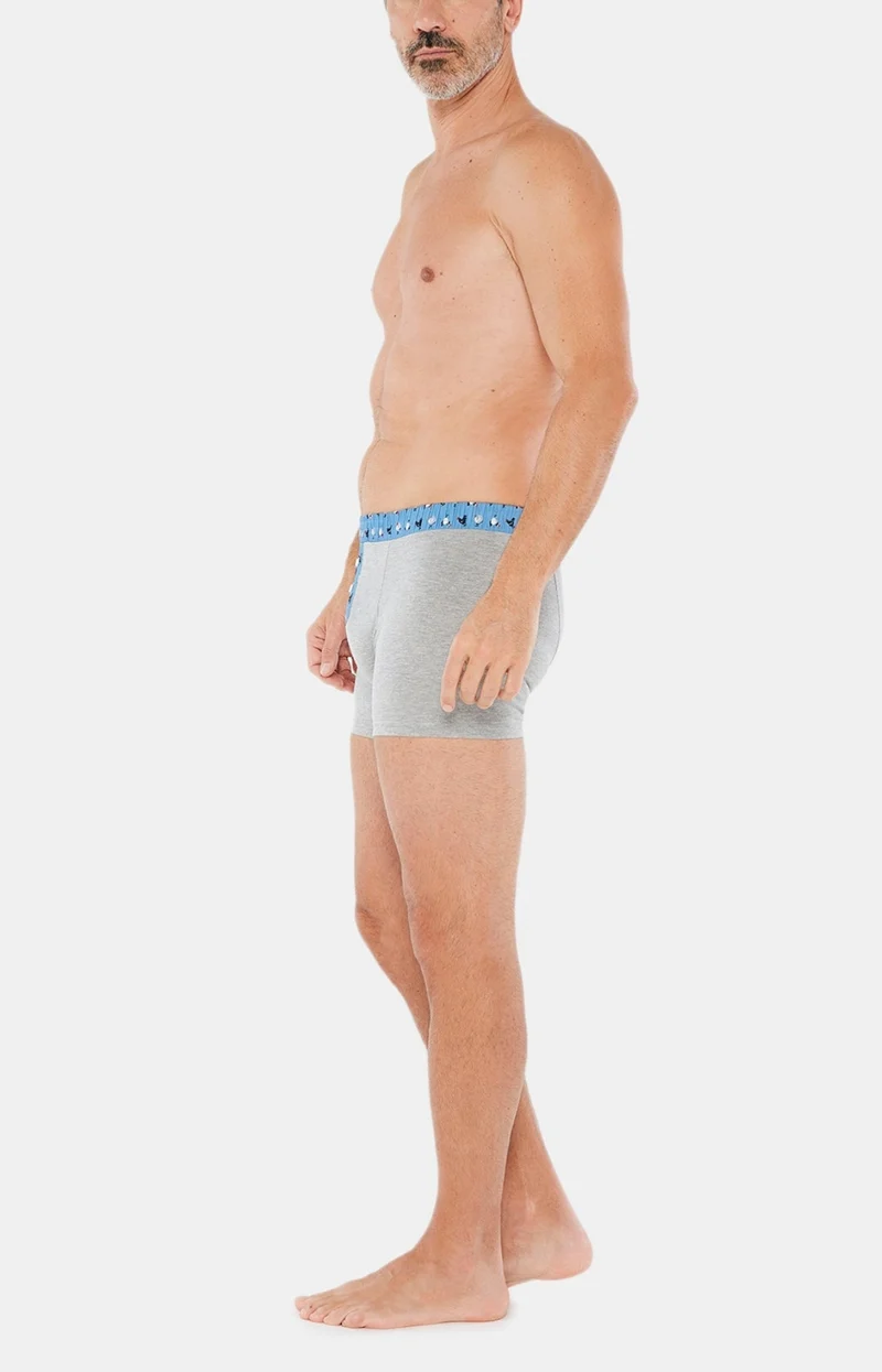 Boxer Club Coton - Gris