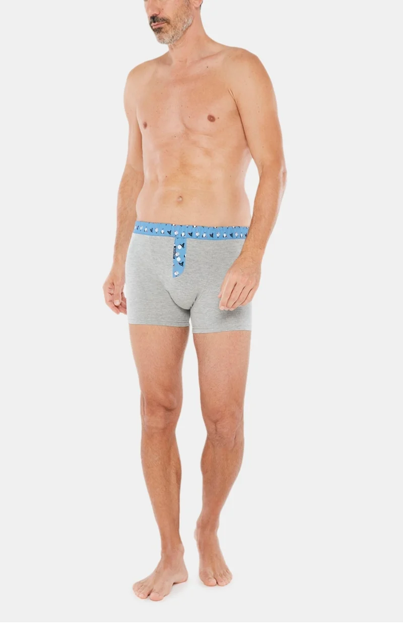 Boxer Club Coton - Gris