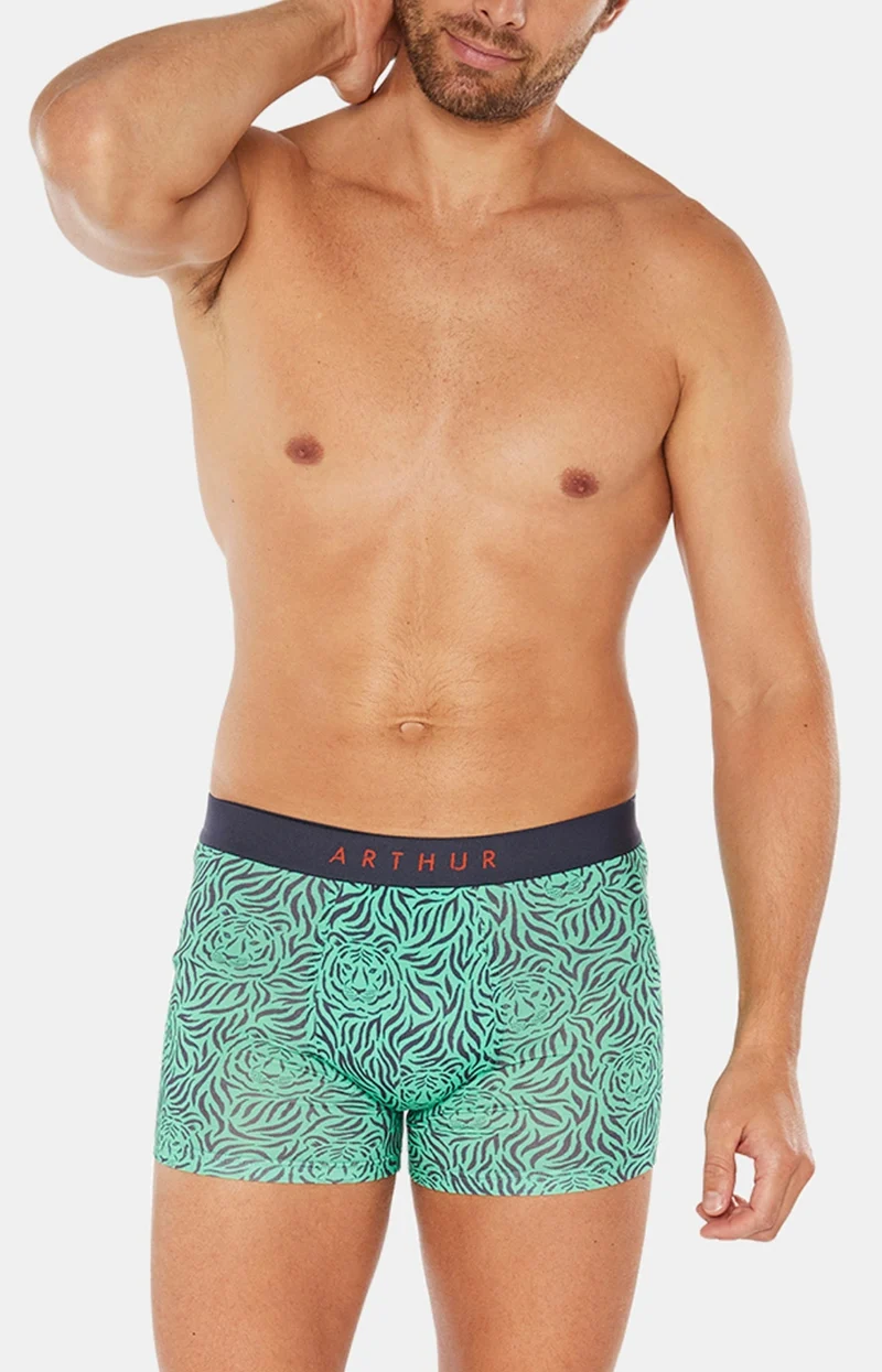 Boxer - Tigre