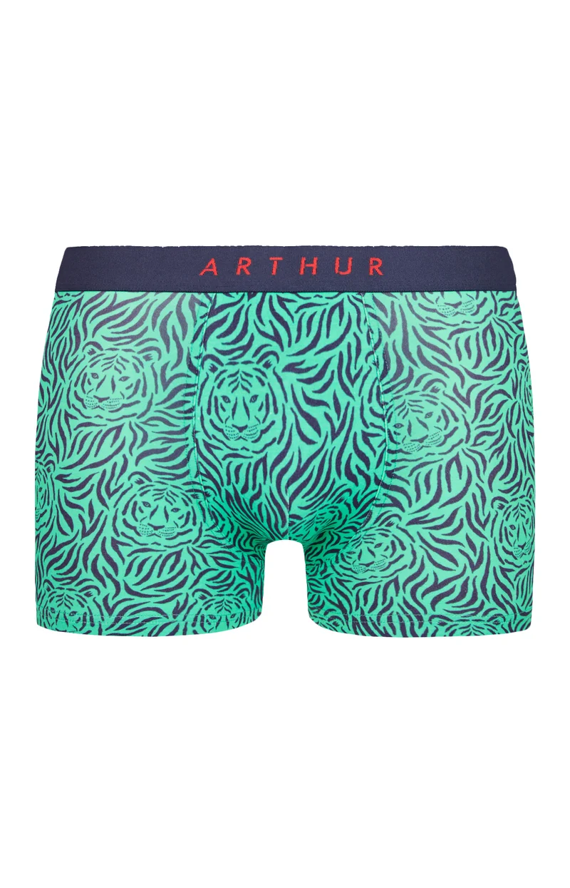 Boxer - Tigre