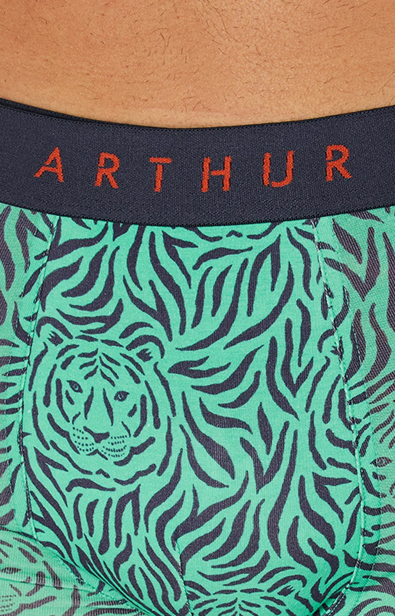 Boxer - Tigre