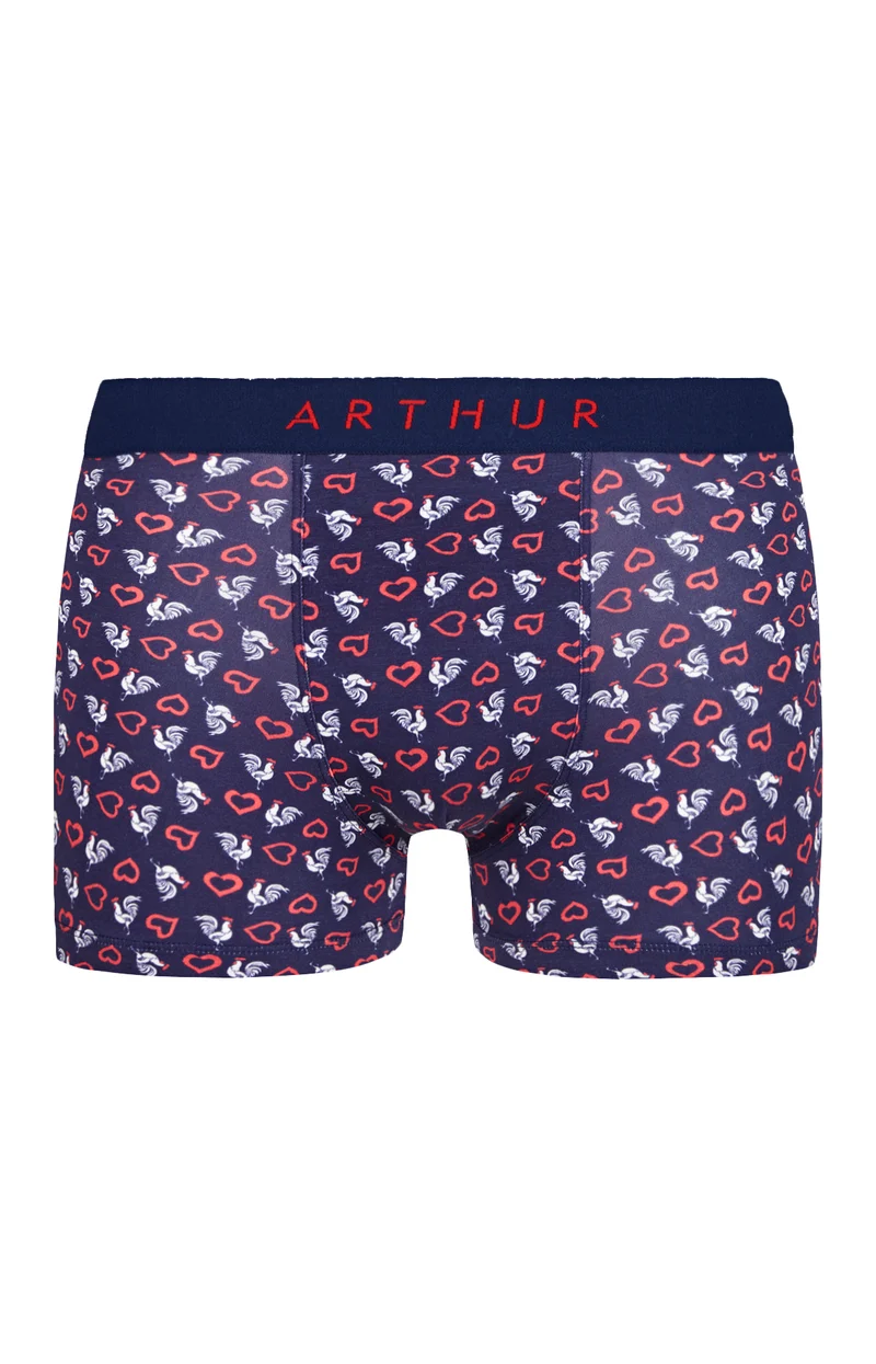 Boxer - Cocoeurico