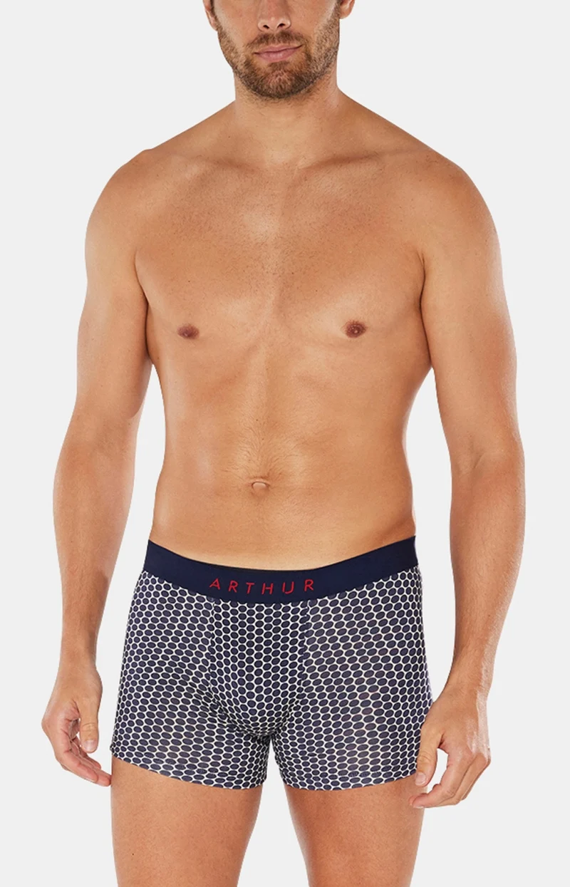Boxer - Pois