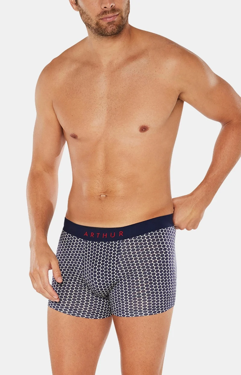 Boxer - Pois