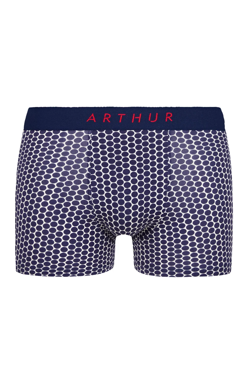 Boxer - Pois