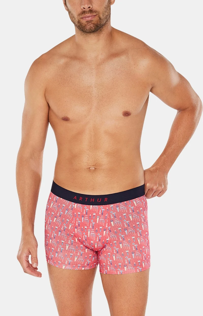 Boxer - Bricolage
