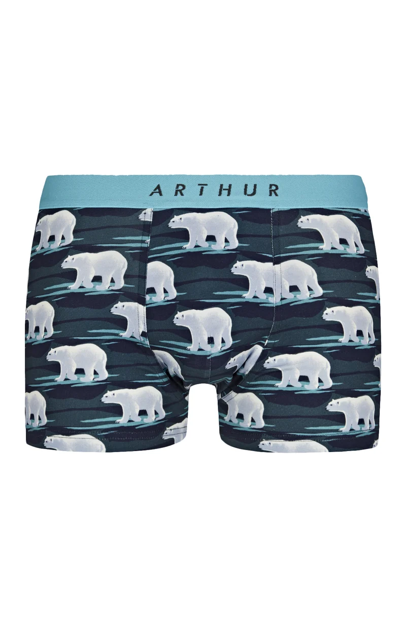 Boxer Ours