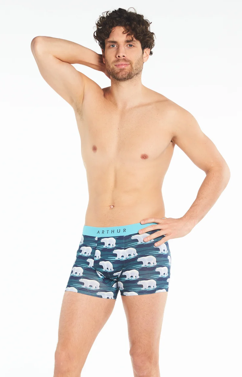 Boxer Ours