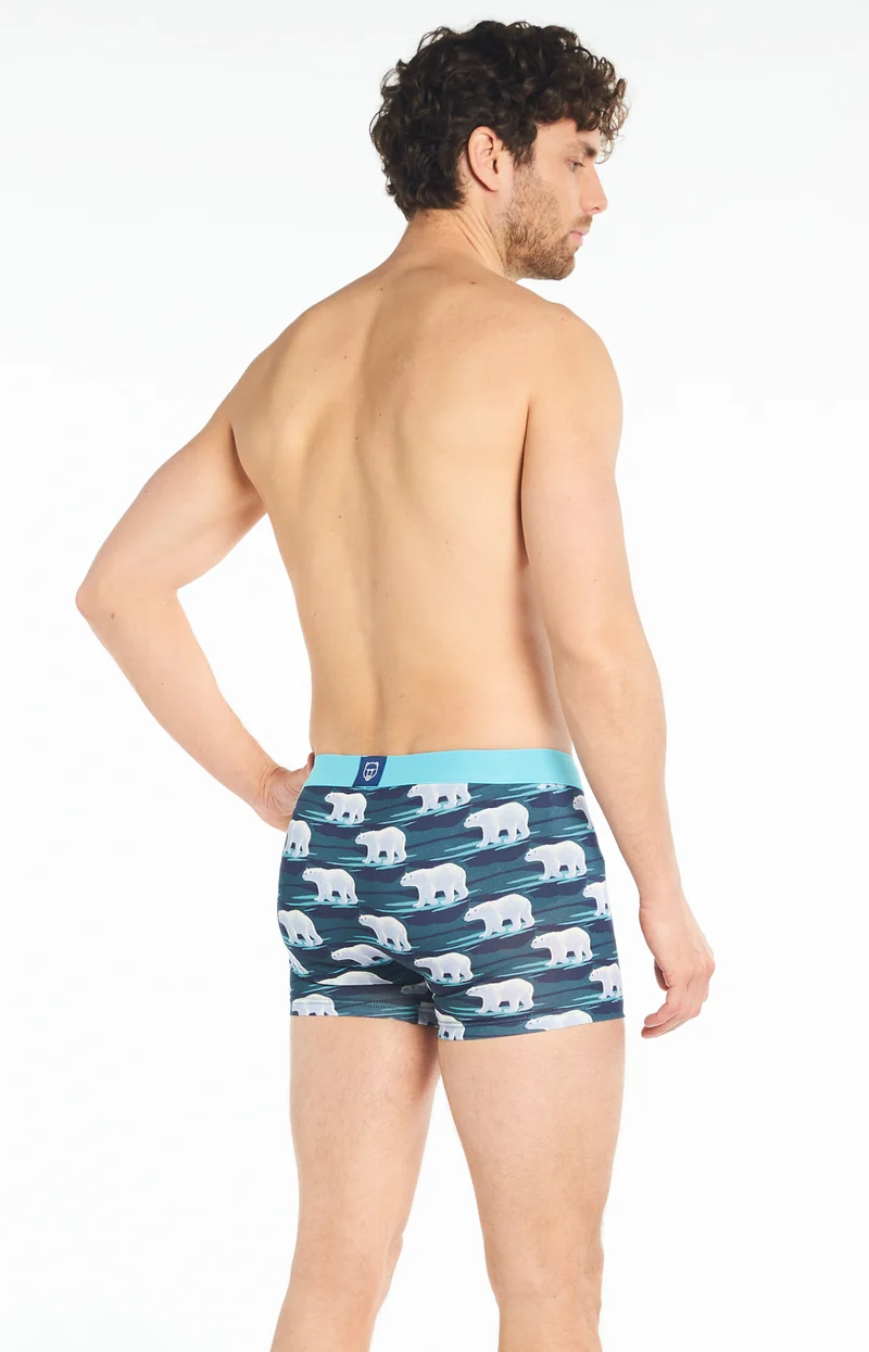 Boxer Ours