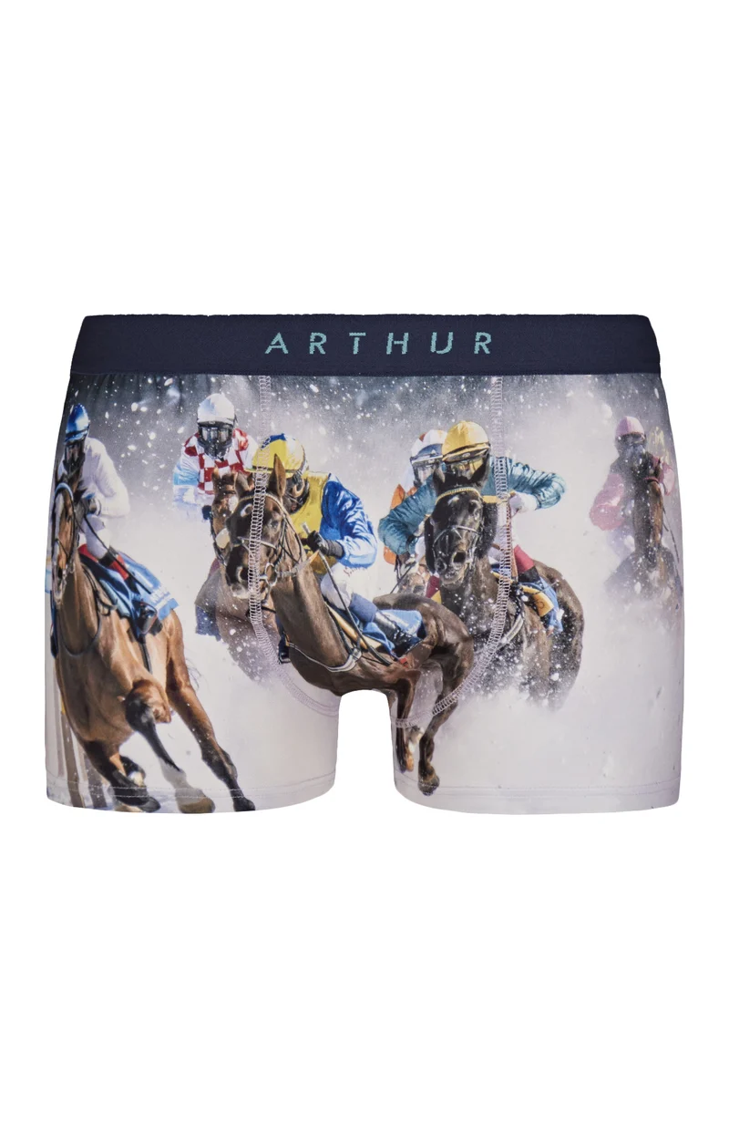 Boxer - Horse
