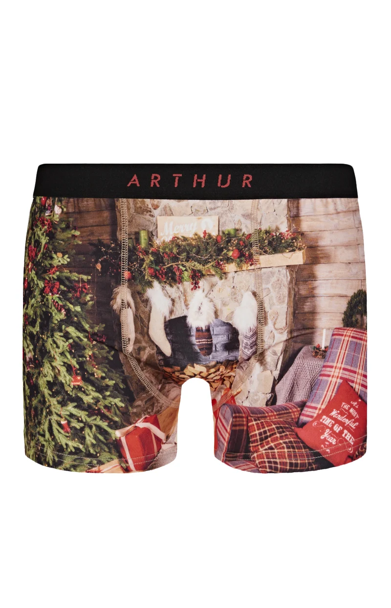 Boxer - Christmas