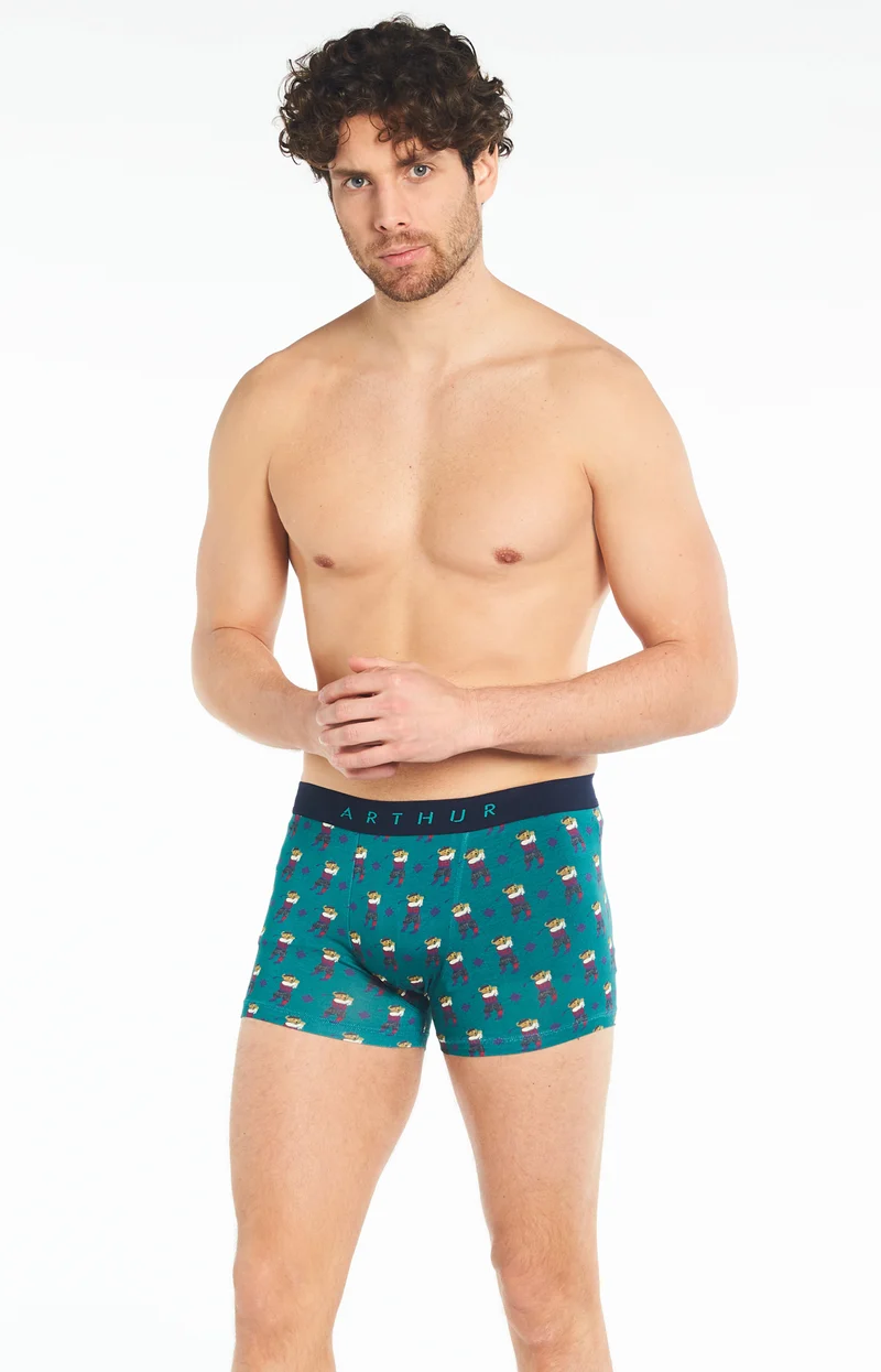 Boxer - Green de Champion