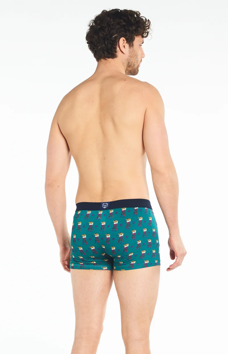 Boxer - Green de Champion