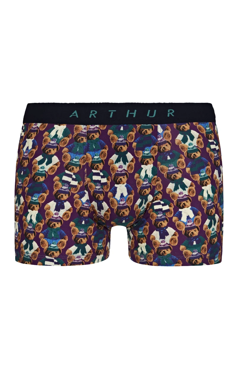 Boxer Teddy - Purple