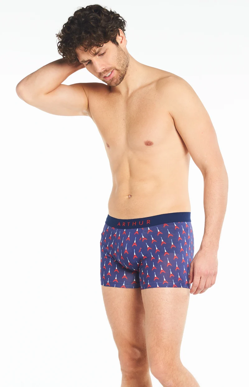 Boxer - Eiffel