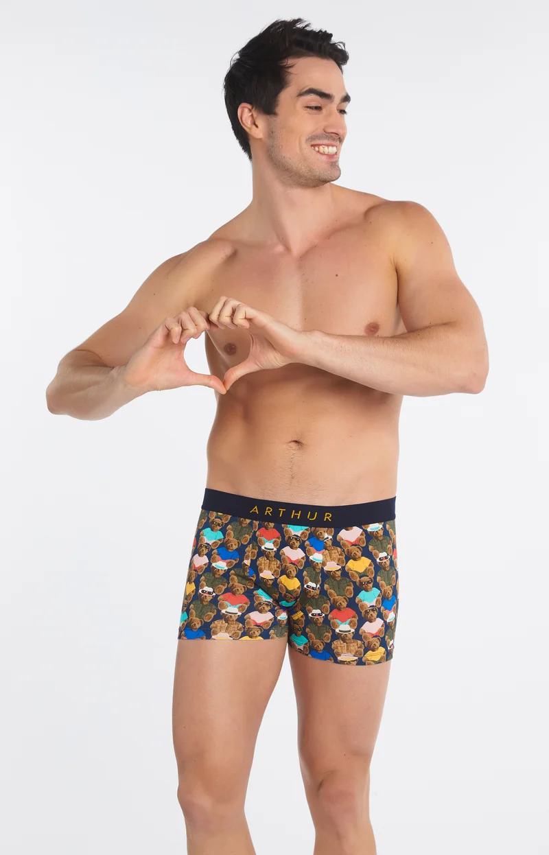 Boxer - Teddy