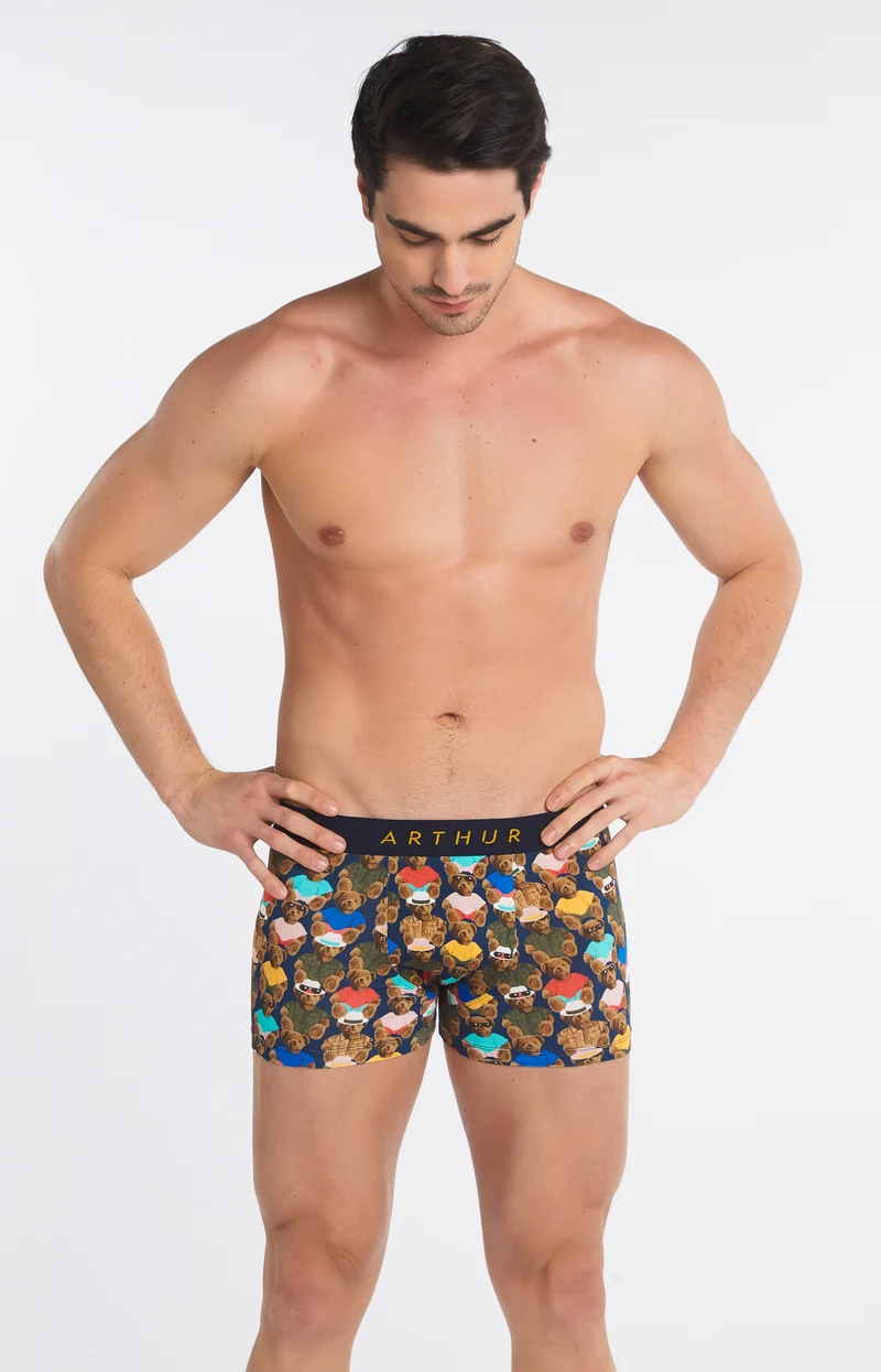 Boxer - Teddy