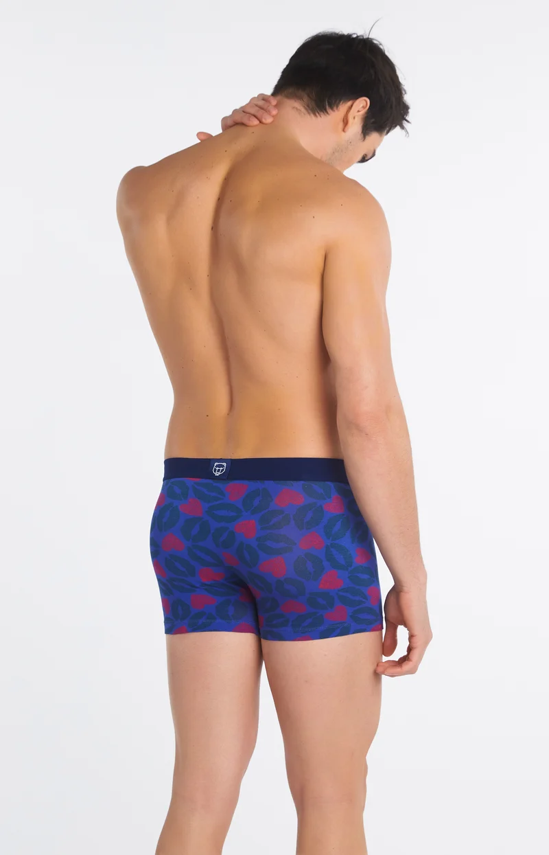 Boxer - Bisous