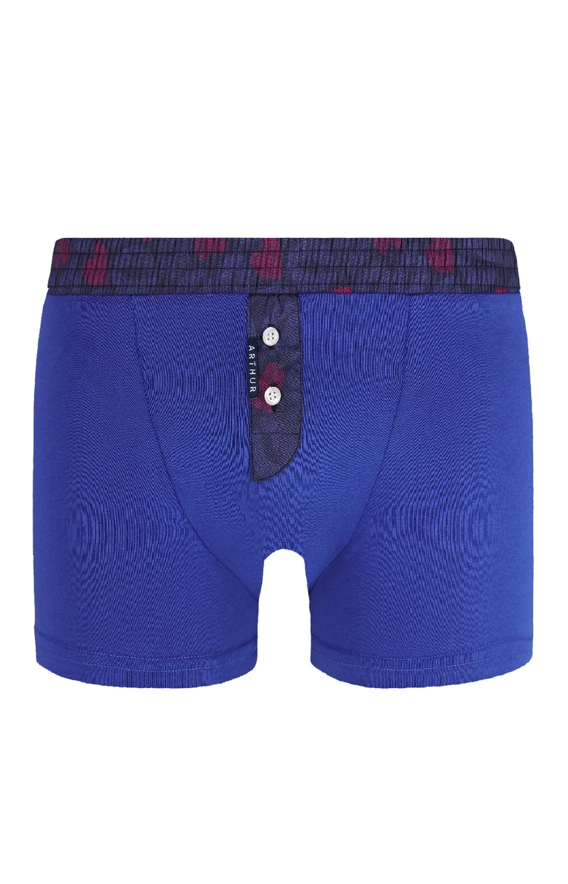 Boxer Club Roi