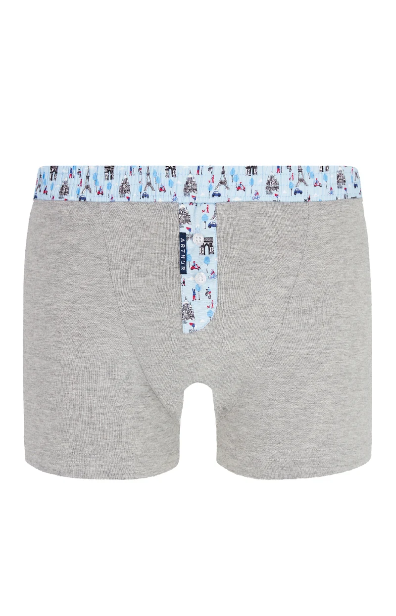Boxer Club Gris