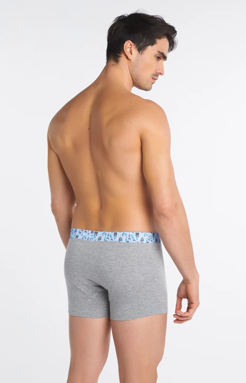 Boxer Club Gris