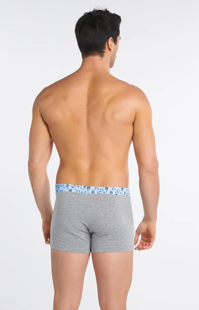 Boxer Club Gris