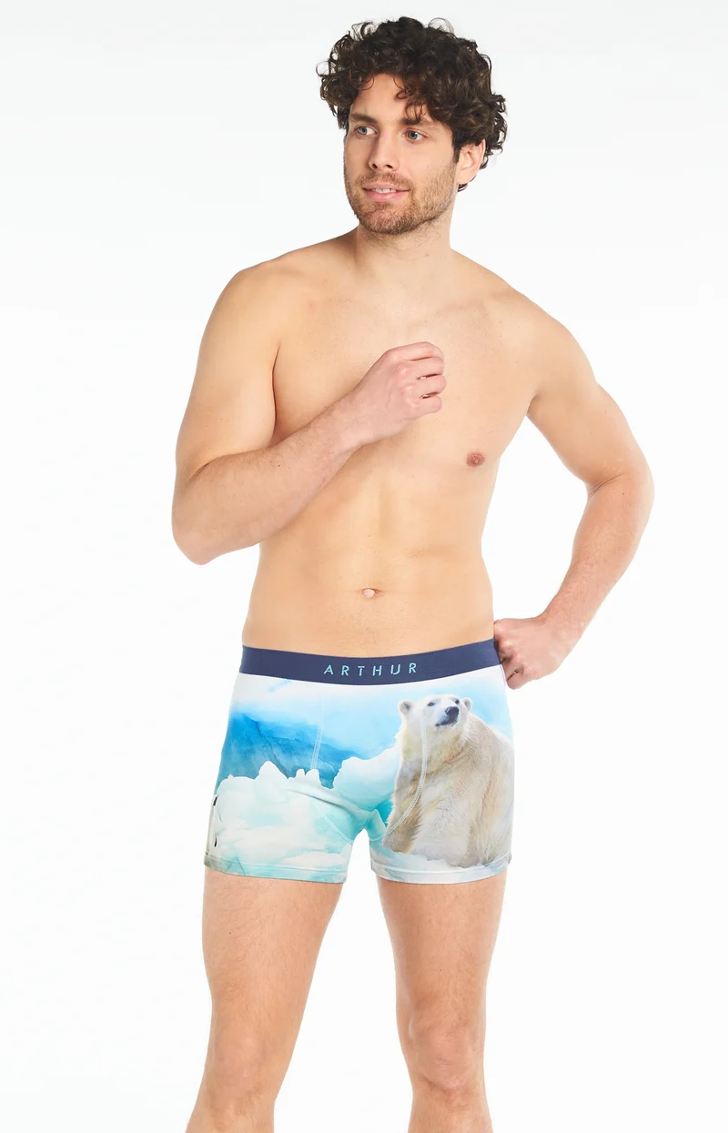 Boxer - Banquise