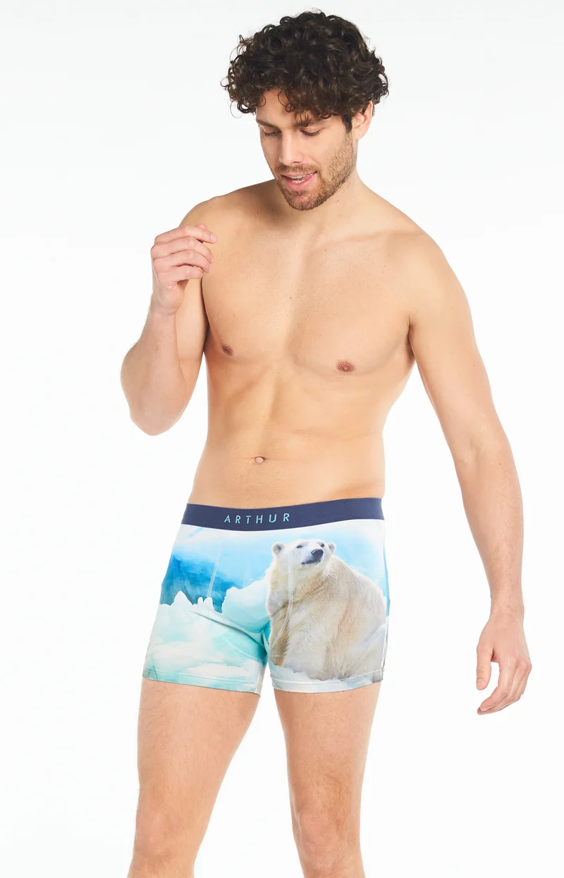 Boxer - Banquise