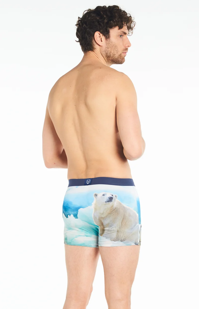 Boxer - Banquise