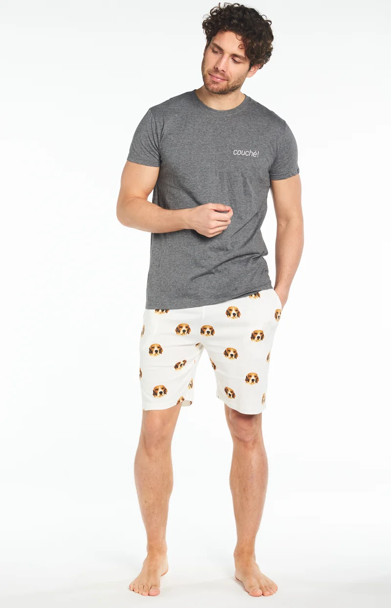 Pyjashort Beagle - Gris