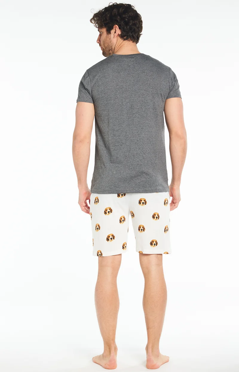 Pyjashort Beagle - Gris