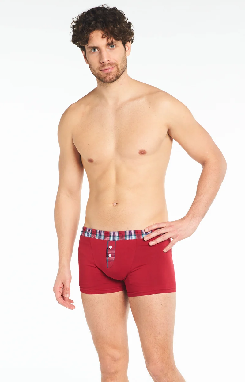 Boxer Club - Rubi