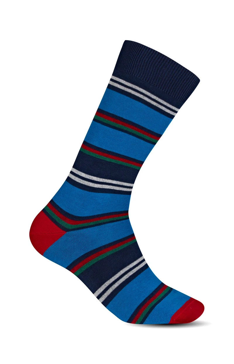 Chaussettes Rayes - Roi