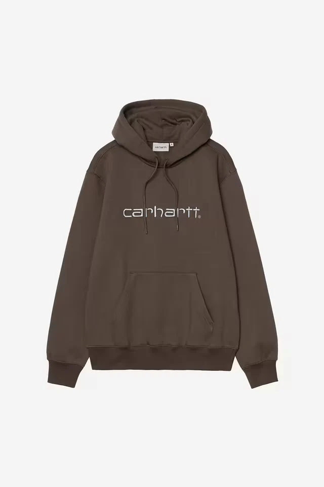 Pull Carhartt Wip HOODED CARHARTT SWEAT Vitola Citadel